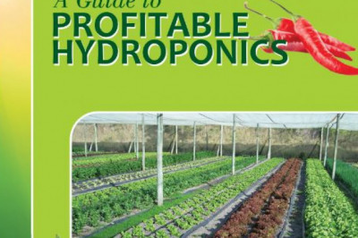 An Everyday Guide to Hydroponics