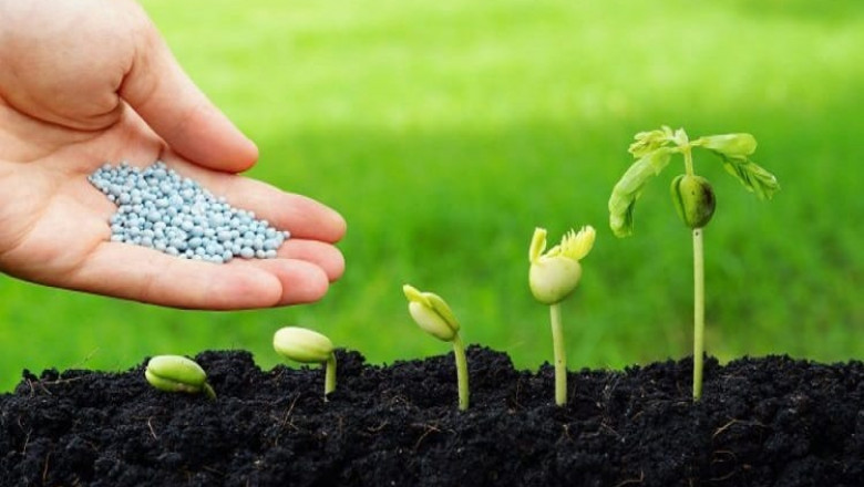 Biopesticides Market Trends, Growth, Analysis, Outlook, Report, Size, Share, Price, Forecast 2021–2026