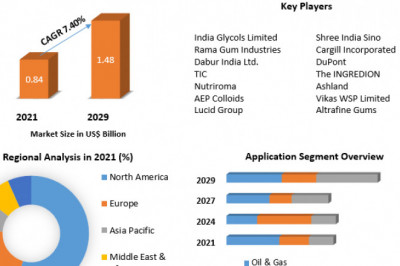 Global Guar Gum Market  Growth, Trends, Revenue, Size, Future Plans and Analysis and Forecast (2022-2029)