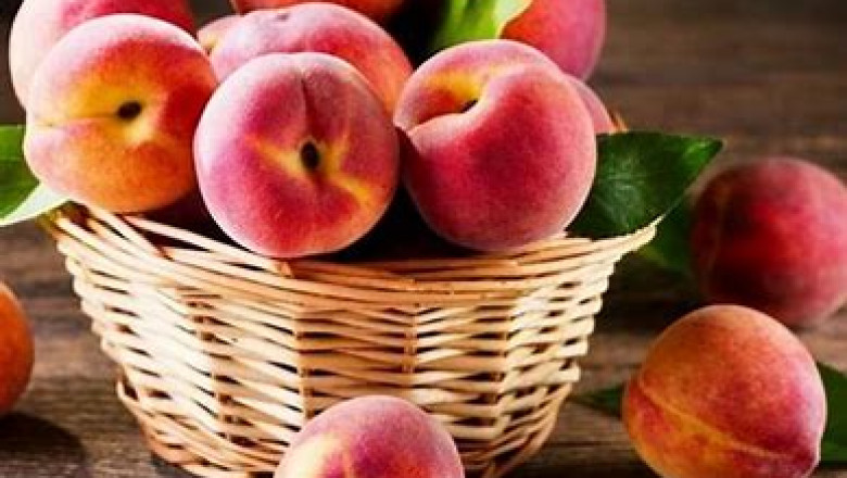 Peach Skin Market 2022 : Top Industry Players, Trends and Forecast Till 2028