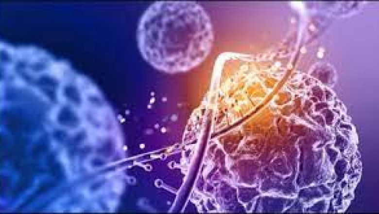 Report on Antimicrobial Additives Market Research 2028 - Value Market Research
