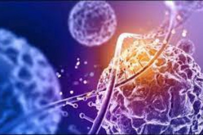 Report on Antimicrobial Additives Market Research 2028 - Value Market Research