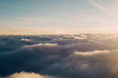 top suggestions for family holidays including puppy