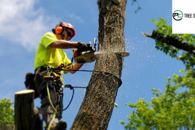 Tree Removal Melbourne