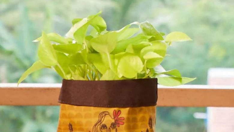 What is a Planters Grow Bag?