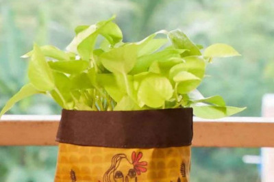 What is a Planters Grow Bag?