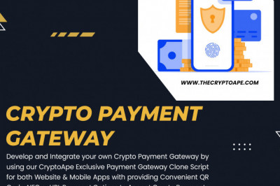 Why should you have a multi cryptocurrency payment gateway for your business?