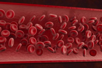 Arq E Mundi - Herbal Medicine For Blood Cleaner?