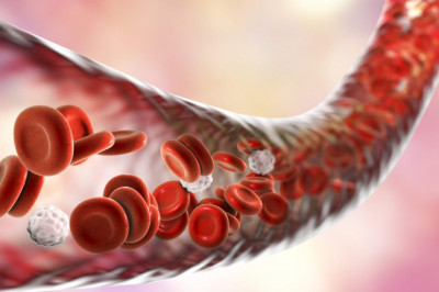 Blood Purify - Herbal Medicine For Blood?