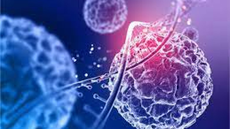 Cell Therapy Market Fundamental Dynamics &amp; Comprehensive Assessment to 2030
