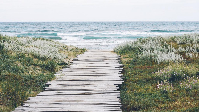 get the most out of your santa monica web design