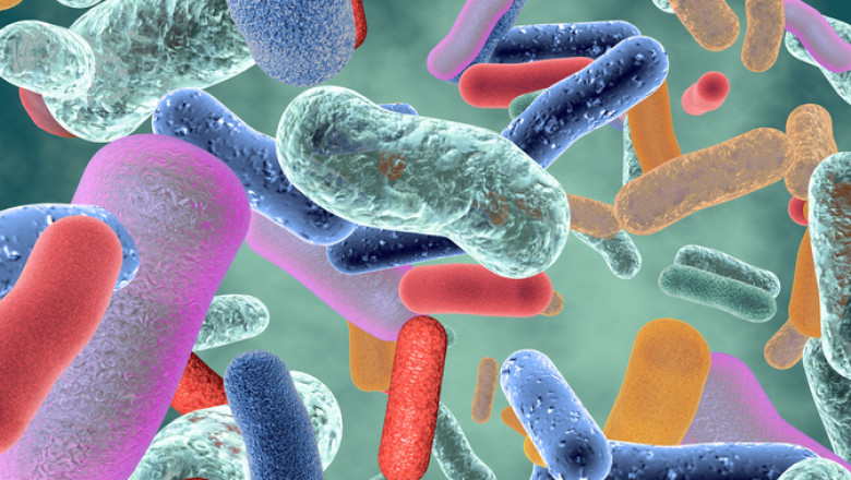 Global Feed Eubiotic Market By Type and By Application