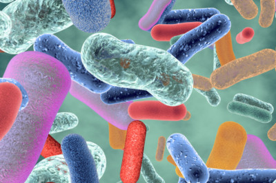 Global Feed Eubiotic Market By Type and By Application