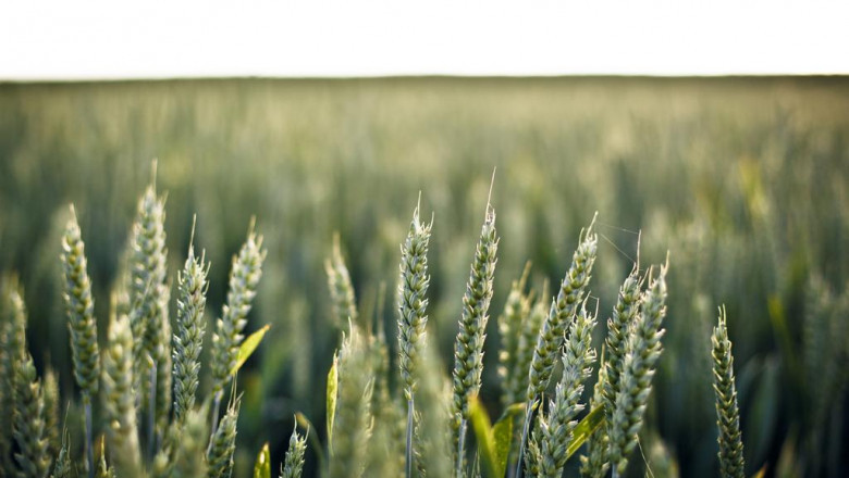 how property investors use mortgage note to purchase properties