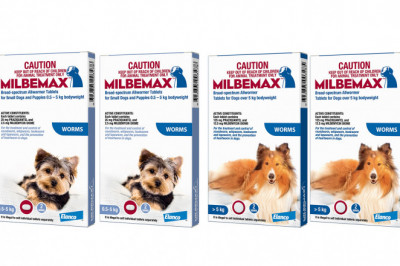 Milbemax Allwormer 4 Doses for Dogs Heartworm and Worm Prevention