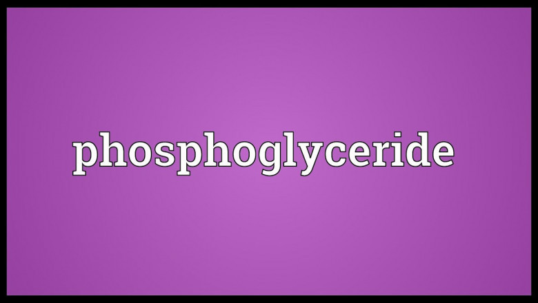 Phosphatidylcholine Market Size, Key Players Analysis And Forecast To 2028 | Value Market Research