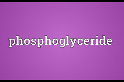 Phosphatidylcholine Market Size, Key Players Analysis And Forecast To 2028 | Value Market Research