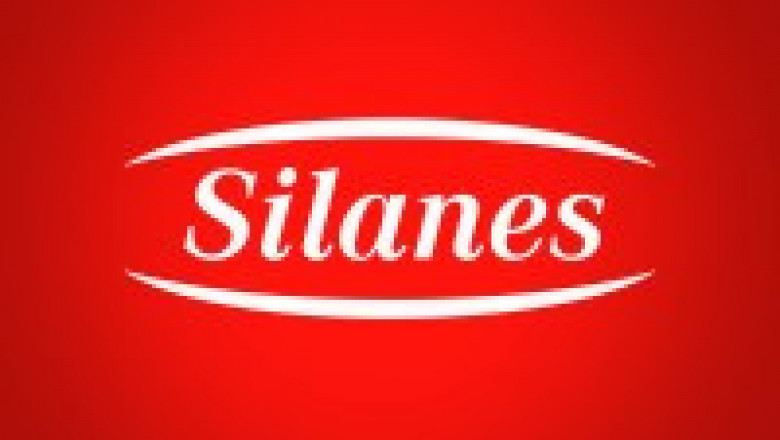 Silanes Market Insight | Outlook | Growth Analysis Report 2022-2028