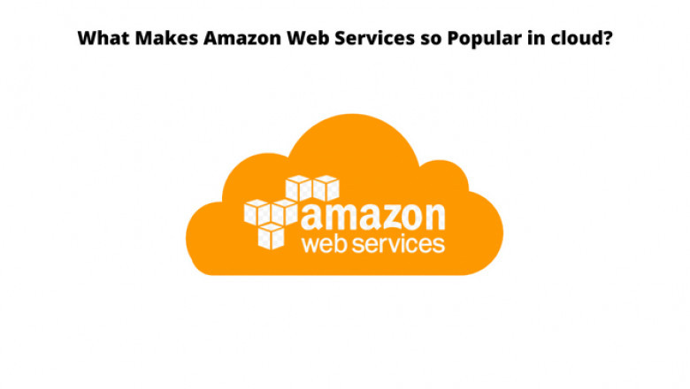 What Makes Amazon Web Services so Popular in cloud?