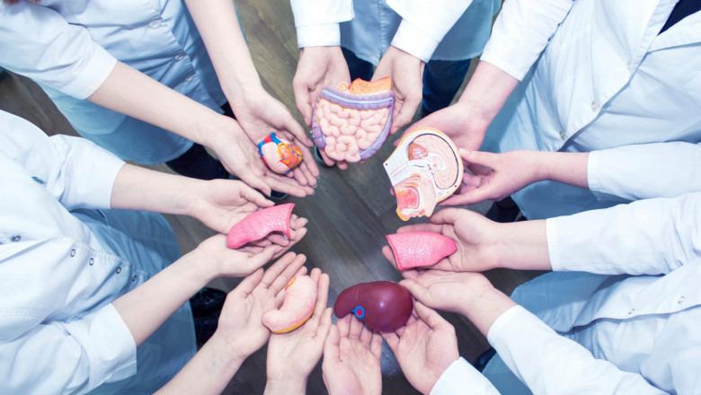 When Your Doctor Tells You That You Require an Organ Transplant, He or She Will Usually Refer You to One
