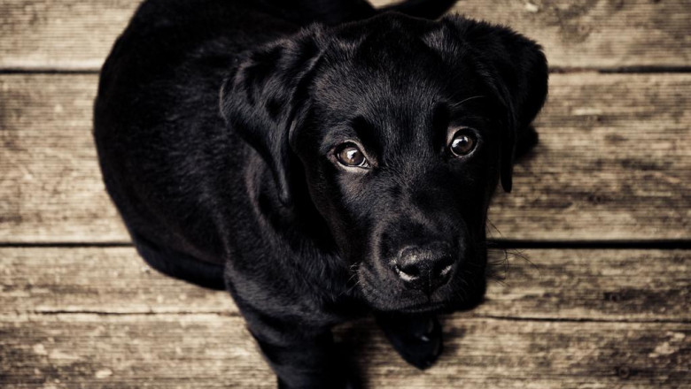 make website profitable with adsense