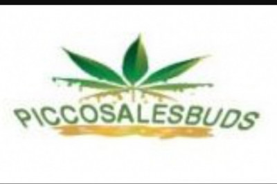 OIL VAPING TIPS | Novice and INTERMEDIATE VAPE Pencil Recommendations