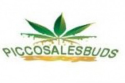 Tips to Choose the best CBD Oil