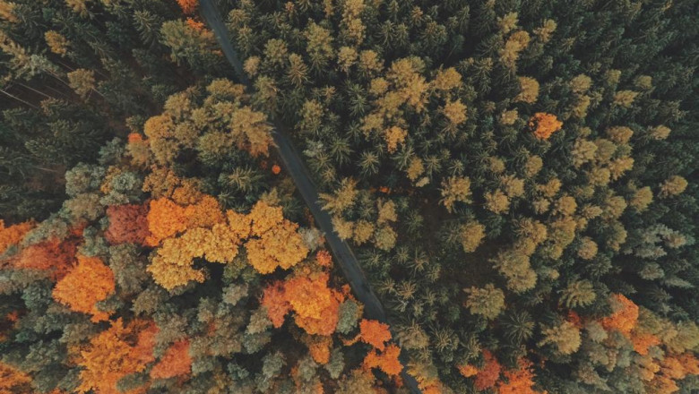 why you should forget about improving your face cream in nederland