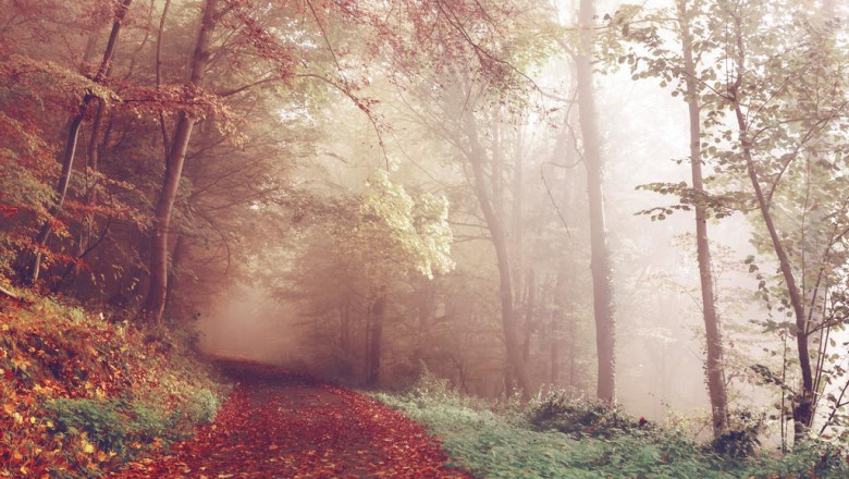 your prepare for customer retention will develop business bloom