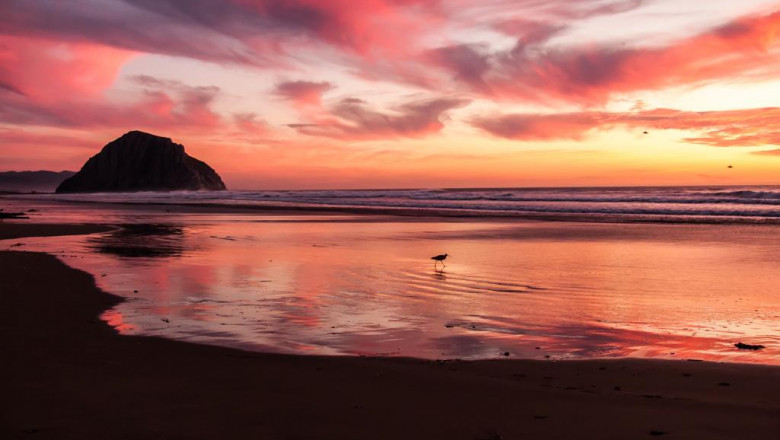 10 things most people dont know about crack software download sites