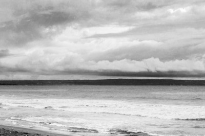 a look into the future what will the rebate forex4you industry look like in 10 years