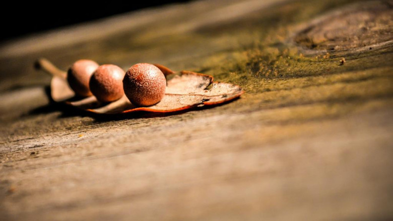 exactly how credit history influences merchant account applications