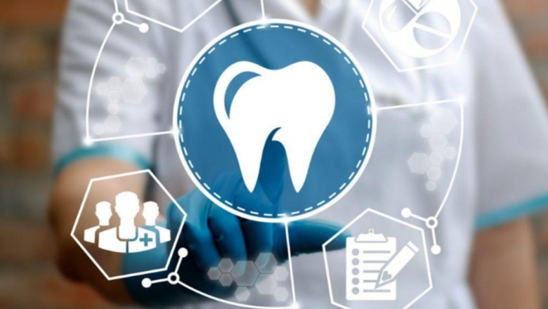 Important Reports That Your Dental SEO Company Must Provide