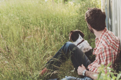 phone occasion art exquisite selections from pet canine to photographs