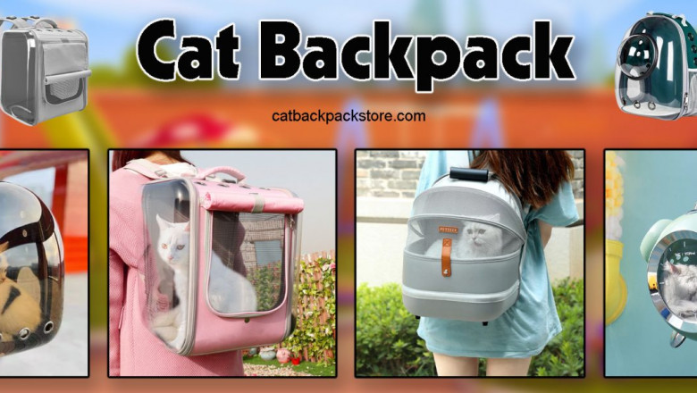 The 7 Best Backpack Cat Transporters of 2022