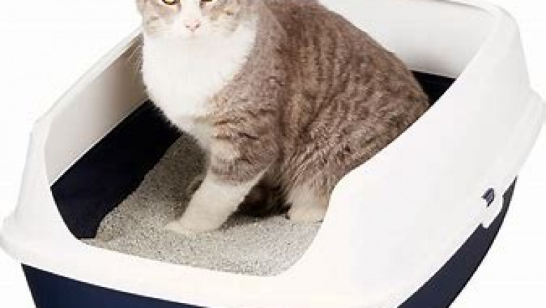 Cat Litter Box Market 2022: Global Industry Analysis, Opportunities and Forecast To 2028