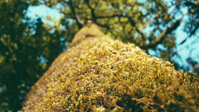 choosing between debt settlement and debt consolidation