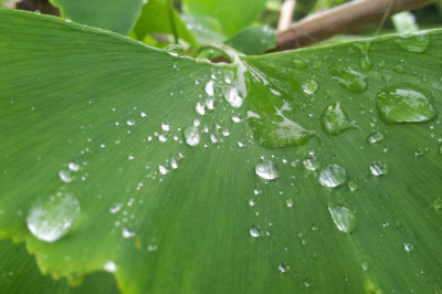 fascination about what can you do with a degree in finance