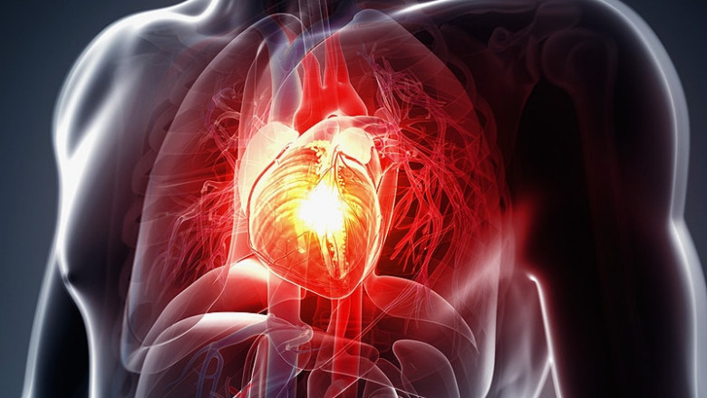 Global Acute Heart Failure (AHF) Therapeutics Market Competitive Landscape