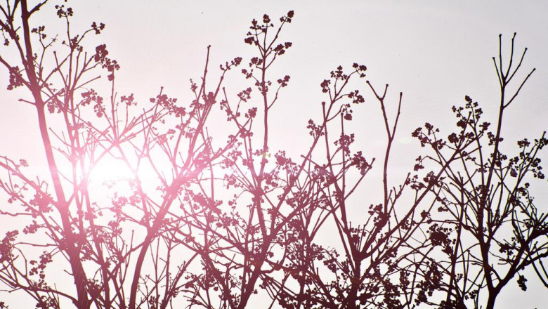 how a debt settlement program companies can help you be freed from of debt