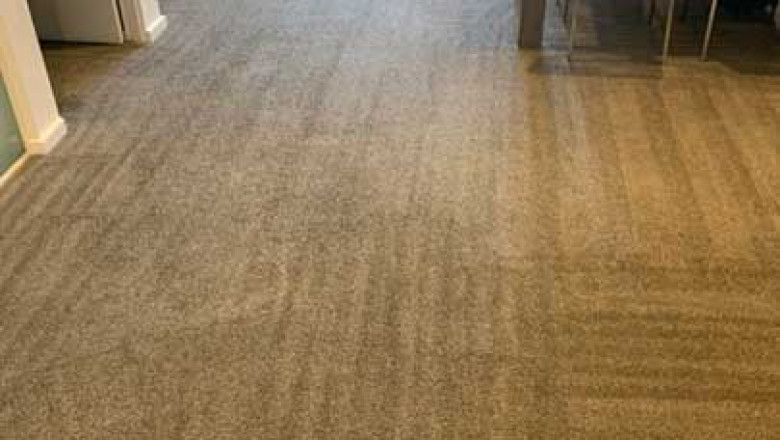 How can professional carpet cleaning make a difference?