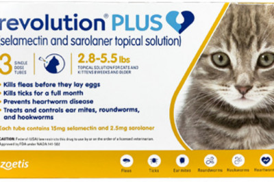 Buy Revolution Plus for Cat Flea Tick Treatment