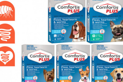 COMFORTIS PLUS for Dogs 6 Chews Flea Heartworm Control