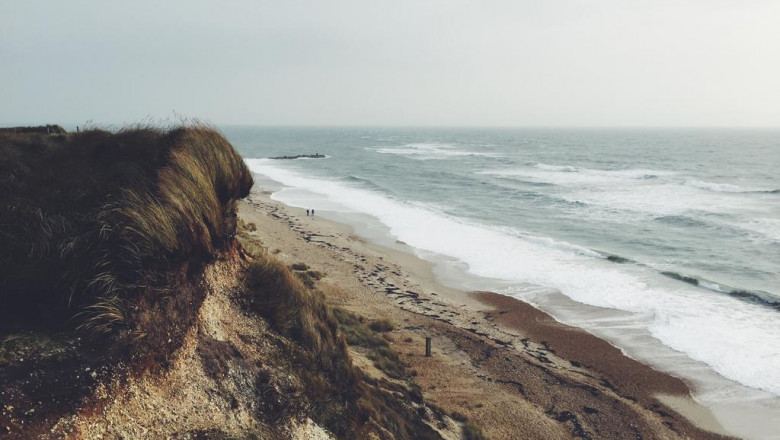 the tulsi green tea benefits awards the best worst and weirdest things weve seen