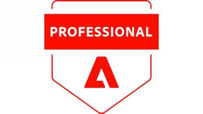 2022 AD0-E313 Latest Learning Materials, Latest AD0-E313 Study Guide | Adobe Campaign Classic Developer Certified Professional Latest Version