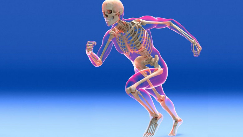 Bone and Musculoskeletal Allografts Market Global Industry Analysis and Forecast 2021-2027