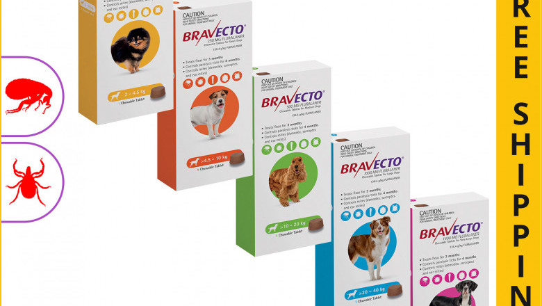 BRAVECTO Chewable 1 Dose Tick and Flea Prevention for Dogs