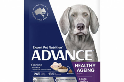 Buy ADVANCE Healthy Ageing Large Breed Chicken with Rice Dog Food Online
