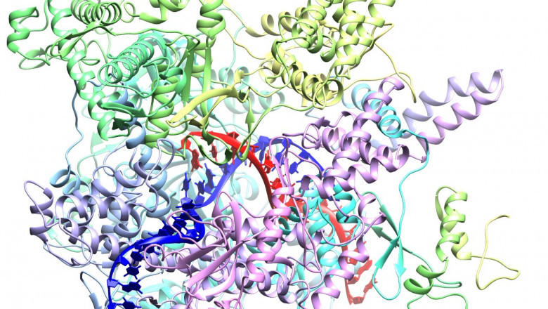Cancer Microbiome Sequencing Market Global Industry Analysis and Forecast 2021-2027
