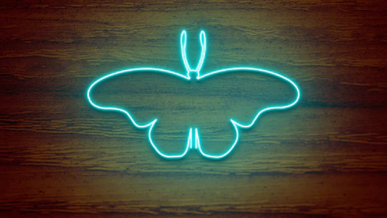 LED neon lights for home decor - Where to buy them online